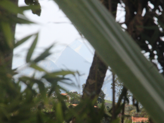 Foto 11 de Casa-finca en Jericó, Antioquia – 3.900 m² de tierra fértil con vista panorámica.