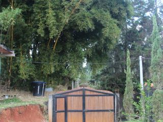 Foto 15 de Casa-finca en Jericó, Antioquia – 3.900 m² de tierra fértil con vista panorámica.