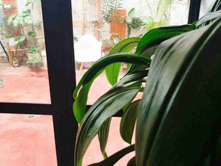 Foto 19 de 🟢 ¡ALQUILER DE CASA AMOBLADA!