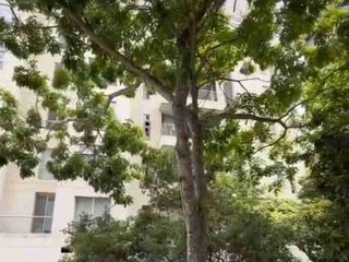 Foto 5 de Vendo Bucaramanga Cabecera  exclusivo en la mejor ubicación sector tranquilo cerca parque san pio.