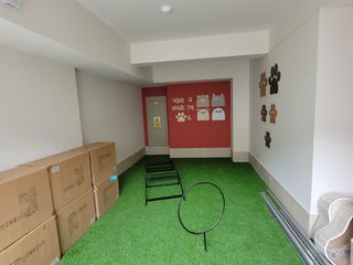 Foto 35 de Alquiler de mini departamento en Lince!!