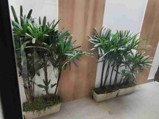 Foto 15 de Urdesa Norte Casa recién remodelada 3 dormitorios un a planta con garaje excelentes  acabados!! Para oficina o vivienda