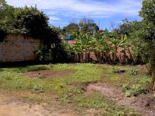 Foto 4 de VENTA DE 4 LOTES EN TARAPOTO - Cerca  La Universidad Peruana Unión