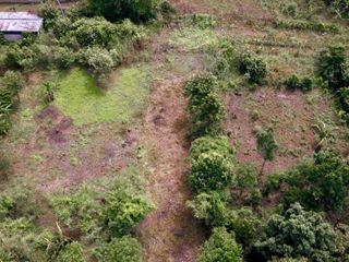 Foto 6 de VENTA DE 4 LOTES EN TARAPOTO - Cerca  La Universidad Peruana Unión