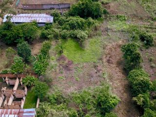 Foto 8 de VENTA DE 4 LOTES EN TARAPOTO - Cerca  La Universidad Peruana Unión