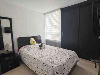Foto 3 de Apartamento conjunto Araucarias