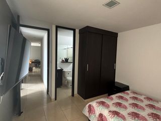Foto 11 de Apartamento conjunto Araucarias