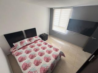 Foto 12 de Apartamento conjunto Araucarias