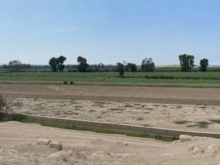 Foto 5 de TU LOTE DE CAMPO EN CHINCHA BAJA