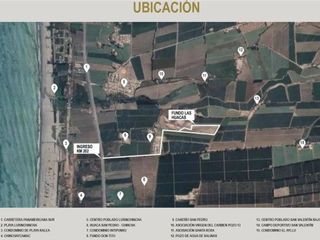 Foto 7 de TU LOTE DE CAMPO EN CHINCHA BAJA