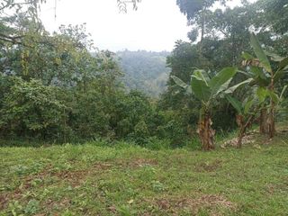 Foto 9 de Vendo terreno en urbanización en a Pedro Vicente Maldonado vía cala Cali Puerto Quito, 8 min del pueblo, lote de 1190m  esquinero