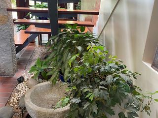 Foto 70 de ¡Hermosa casa en renta con amplios espacios verdes-sector Chaullabamba!