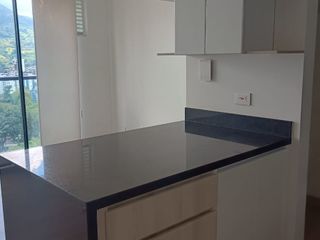Foto 9 de Se arrienda Apartamento por la avenida sur