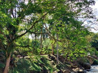 Foto 13 de Lote en Venta El Vergel Ciudad Bolívar