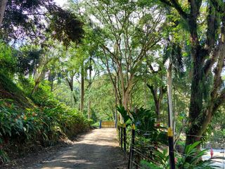 Foto 9 de Lote en Venta El Vergel Ciudad Bolívar