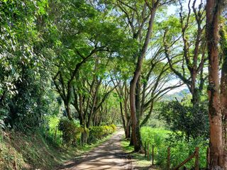 Foto 11 de Lote en Venta El Vergel Ciudad Bolívar