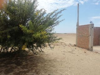 Foto 2 de Terreno de 18 has en Paijan, La Libertad
