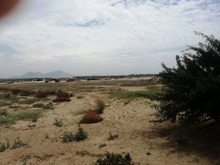 Foto 6 de Terreno de 18 has en Paijan, La Libertad