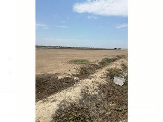 Foto 9 de Terreno de 18 has en Paijan, La Libertad