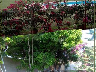 Foto 9 de ALQUILER PARA NEGOCIO: CASA DE CAMPO EN CP SIPAN - CHICLAYO