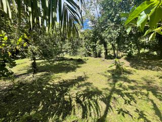 Foto 10 de Hermoso lote en venta a tan solo 1 kilómetro del pueblo, 1600 m2, vía al Cinto