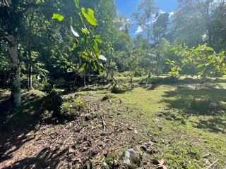 Foto 6 de Hermoso lote en venta a tan solo 1 kilómetro del pueblo, 1600 m2, vía al Cinto
