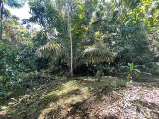 Foto 13 de Hermoso lote en venta a tan solo 1 kilómetro del pueblo, 1600 m2, vía al Cinto