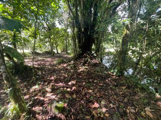 Foto 14 de Hermoso lote en venta a tan solo 1 kilómetro del pueblo, 1600 m2, vía al Cinto