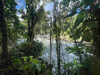 Foto 15 de Hermoso lote en venta a tan solo 1 kilómetro del pueblo, 1600 m2, vía al Cinto