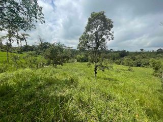 Foto 5 de 6 Hectáreas en venta, cerca de San Miguel de Los Bancos,  vía Los Andes, con fuentes de agua.