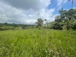 Foto 10 de 6 Hectáreas en venta, cerca de San Miguel de Los Bancos,  vía Los Andes, con fuentes de agua.