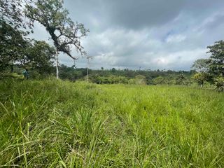 Foto 16 de 6 Hectáreas en venta, cerca de San Miguel de Los Bancos,  vía Los Andes, con fuentes de agua.