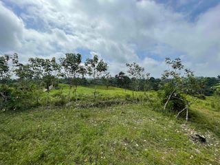 Foto 2 de Hermosos lotes de 5 hectáreas, por el el Recinto Paisaje al Río Blanco