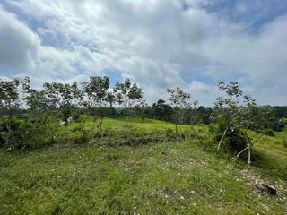 Foto 3 de Hermosos lotes de 5 hectáreas, por el el Recinto Paisaje al Río Blanco