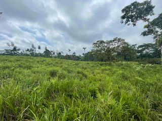 Foto 5 de Hermosos lotes de 5 hectáreas, por el el Recinto Paisaje al Río Blanco