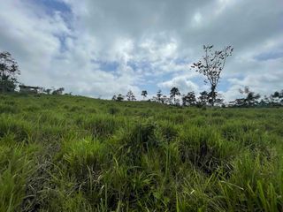 Foto 7 de Hermosos lotes de 5 hectáreas, por el el Recinto Paisaje al Río Blanco