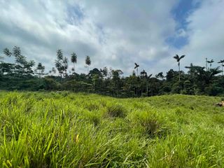 Foto 9 de Hermosos lotes de 5 hectáreas, por el el Recinto Paisaje al Río Blanco