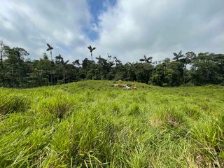 Foto 10 de Hermosos lotes de 5 hectáreas, por el el Recinto Paisaje al Río Blanco