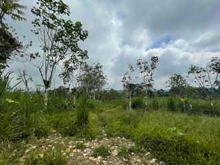 Foto 13 de Hermosos lotes de 5 hectáreas, por el el Recinto Paisaje al Río Blanco