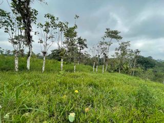 Foto 14 de Hermosos lotes de 5 hectáreas, por el el Recinto Paisaje al Río Blanco