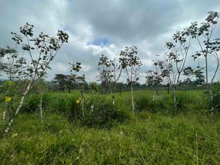 Foto 16 de Hermosos lotes de 5 hectáreas, por el el Recinto Paisaje al Río Blanco