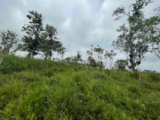 Foto 17 de Hermosos lotes de 5 hectáreas, por el el Recinto Paisaje al Río Blanco