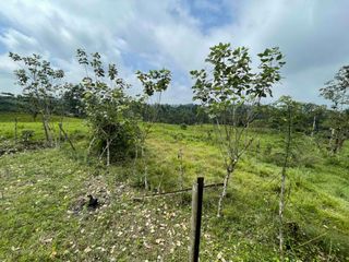 Foto 24 de Hermosos lotes de 5 hectáreas, por el el Recinto Paisaje al Río Blanco