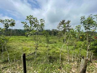 Foto 25 de Hermosos lotes de 5 hectáreas, por el el Recinto Paisaje al Río Blanco