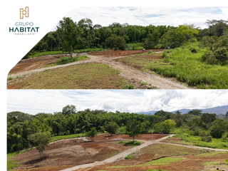 Foto 3 de Terreno en venta en Logroño, Morona Santiago, Facilidades de pago, Amazonía Ecuatoriana, Sucúa