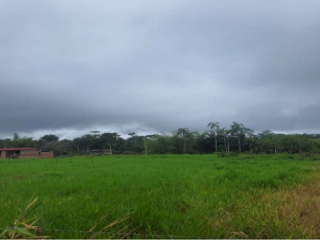 Foto 2 de Se Vende Finca
