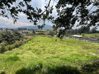 Foto 3 de TERRENO EN VENTA LA MERCED SECTOR LAS PALMERAS- VALLE DE LOS CHILLOS