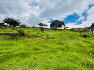 Foto 12 de TERRENO EN VENTA LA MERCED SECTOR LAS PALMERAS- VALLE DE LOS CHILLOS