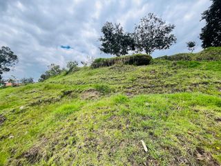 Foto 8 de TERRENO EN VENTA LA MERCED SECTOR LAS PALMERAS- VALLE DE LOS CHILLOS