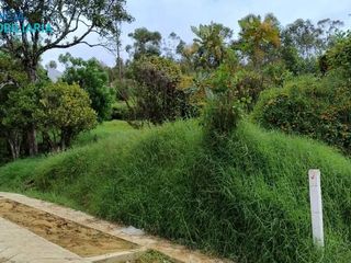Foto 4 de VENTA DE LOTE- ALTOS DE CATLEYA